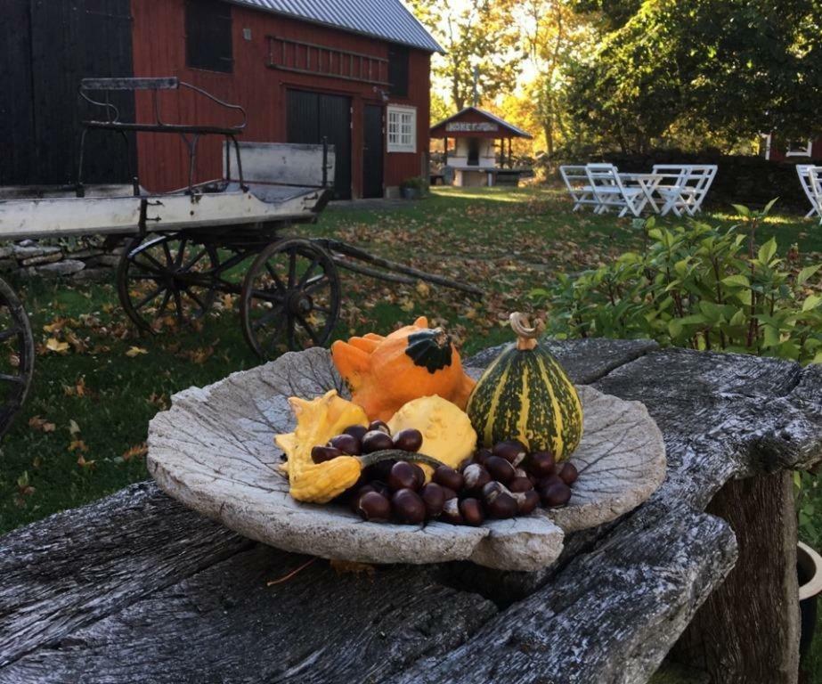 Rosenborgs Friluftspensionat Färjestaden Екстериор снимка
